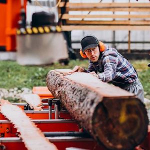 Quels sont les enjeux d’une exploitation forestière dans l’industrie du bois ?