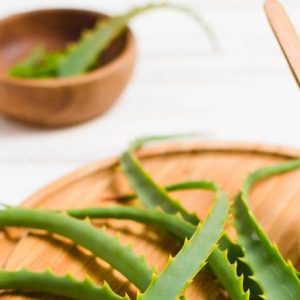Quelle différence entre Aloe Vera et Aloe Arborescens ?